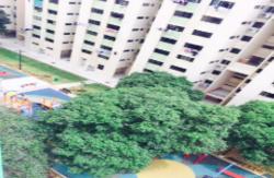 Blk 465 Ang Mo Kio Avenue 10 (Ang Mo Kio), HDB 3 Rooms #118464382
